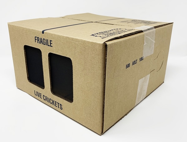 Cricket Box